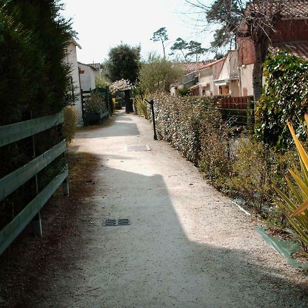 Les Pins Ensoleilles Apartman Saint-Georges-de-Didonne Kültér fotó